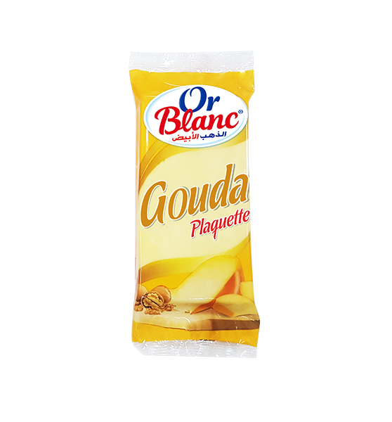 Gouda plaquette
