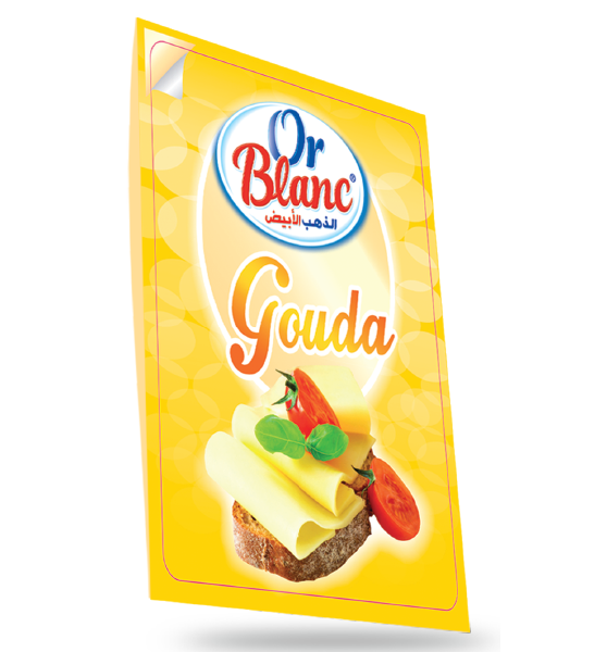 TRANCHE FROMAGE GOUDA