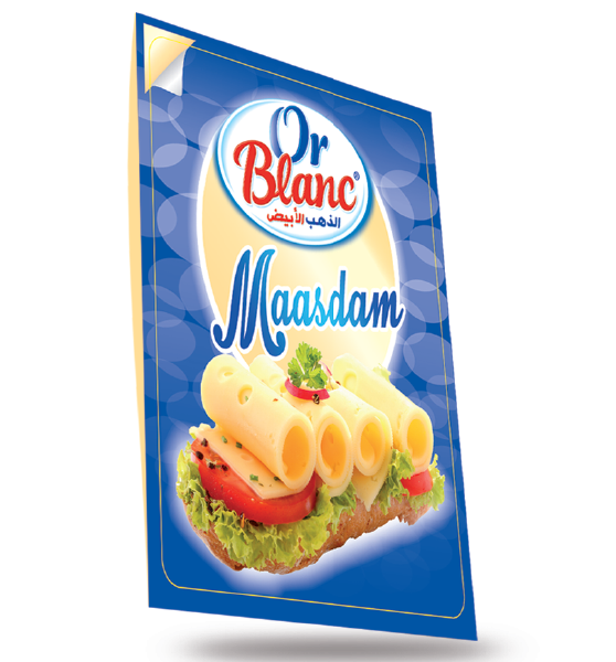 TRANCHE FROMAGE MAASDAM