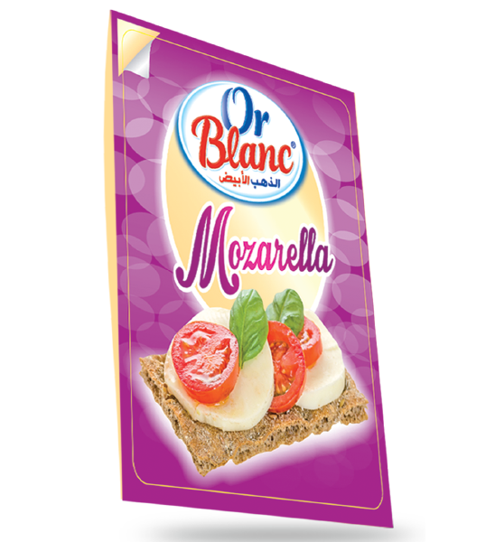 TRANCHE FROMAGE MOZARELLA